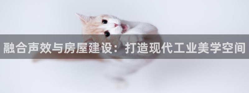 富联娱乐代理怎么样啊：融合声效与房屋建设：打造现代工业美学空间