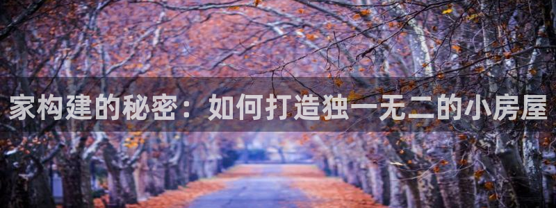 富联娱乐平台下载app：家构建的秘密：如何打造独一无二的小房屋
