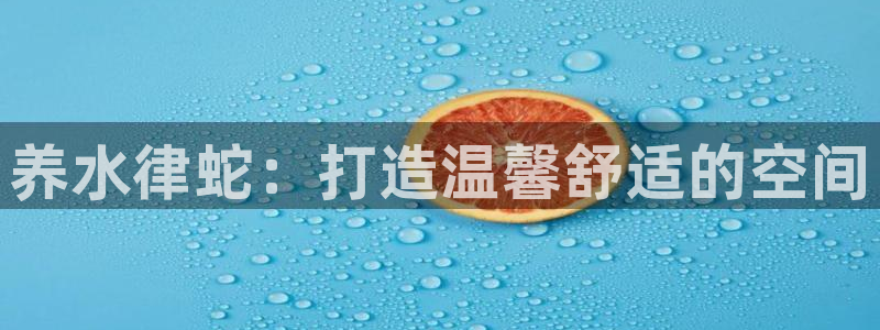 富联娱乐直究7276O：养水律蛇：打造温馨舒适的空间
