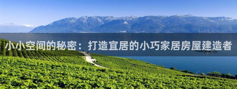 富联娱乐注册正唐老鸭779O3：小小空间的秘密：打造宜居的小巧家居房屋建造者