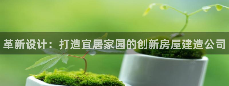 富联2娱乐元哥：革新设计：打造宜居家园的创新房屋建造公司
