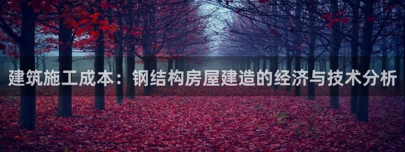 富联娱乐招商括判官333OO：建筑施工成本：钢结构房屋建造的经济与技术分析