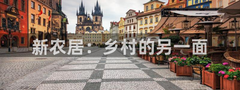 富联娱乐怎么样：新农居：乡村的另一面