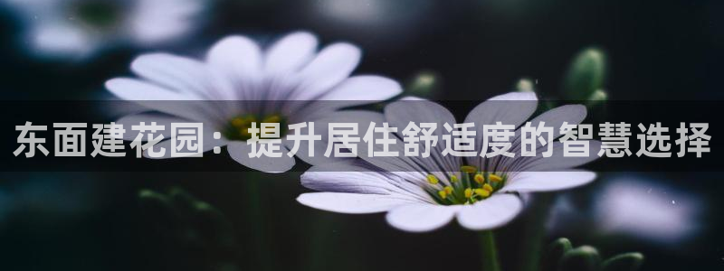 富联娱乐找u997.cn凤凰：东面建花园：提升居住舒适度的智慧选择