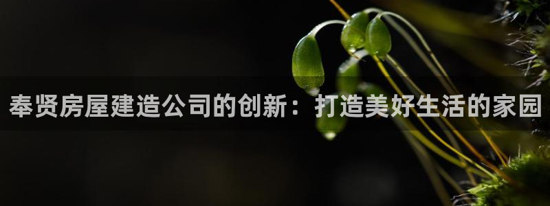 台湾富联娱乐：奉贤房屋建造公司的创新：打造美好生活的家园