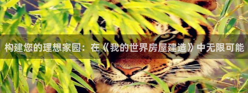 富联娱乐下载官网：构建您的理想家园：在《我的世界房屋建造》中无限可能