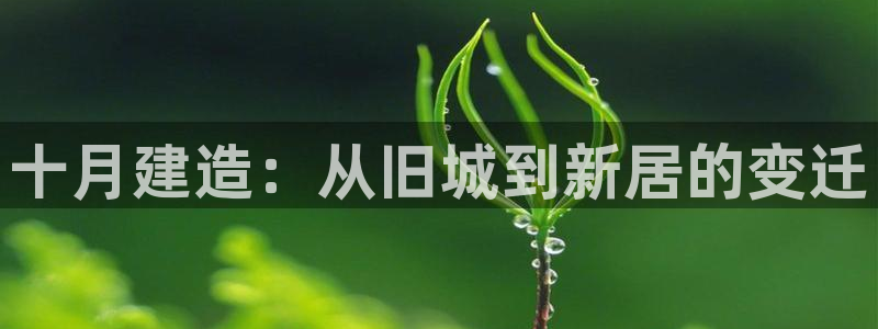 富联娱乐登录链接下载：十月建造：从旧城到新居的变迁