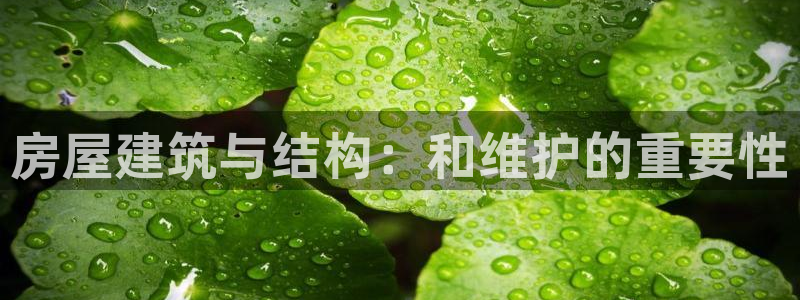 富联娱乐卜67OO6：房屋建筑与结构：和维护的重要性