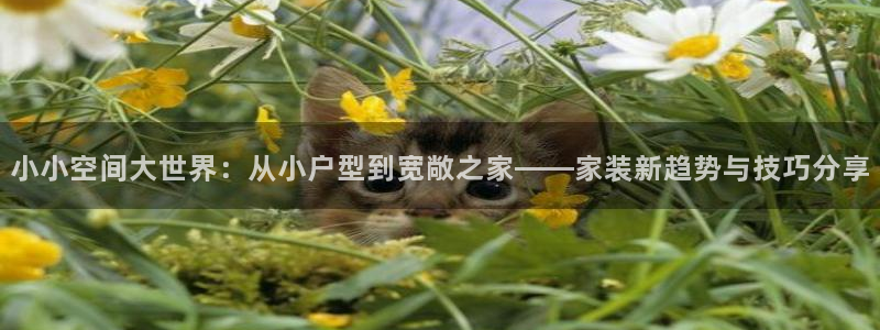 富联娱乐官方网站首页登录：小小空间大世界：从小户型到宽敞之家——家装新趋势与技巧分享