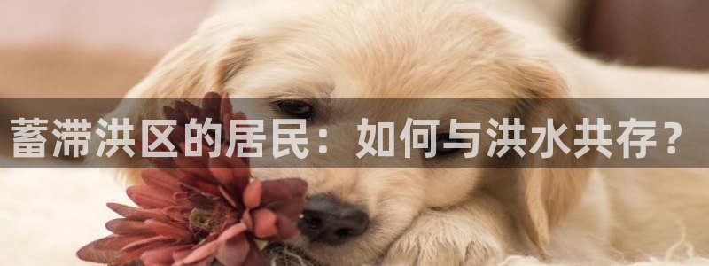 富联娱乐在线注册链接是什么意思：蓄滞洪区的居民：如何与洪水共存？