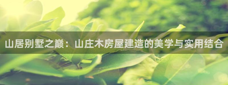 富联娱乐官方网站下载：山居别墅之巅：山庄木房屋建造的美学与实用结合