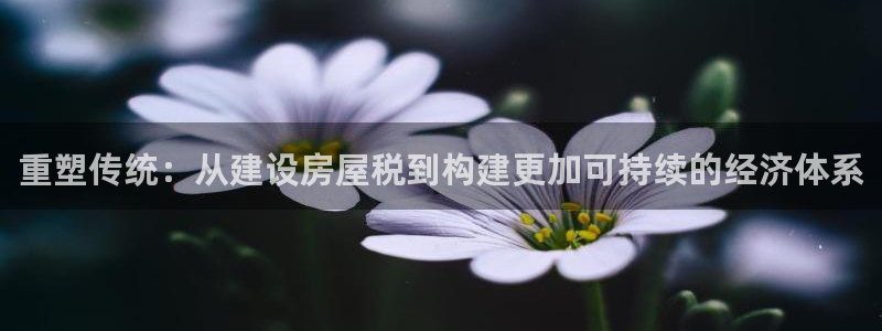 台湾富联娱乐官网：重塑传统：从建设房屋税到构建更加可持续的经济体系