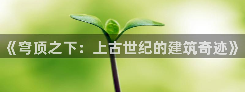 富联娱乐是什么公司的：《穹顶之下：上古世纪的建筑奇迹》