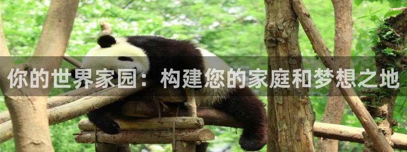 富联娱乐资讯官网下载：你的世界家园：构建您的家庭和梦想之地