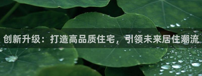 富联娱乐测速app：创新升级：打造高品质住宅，引领未来居住潮流