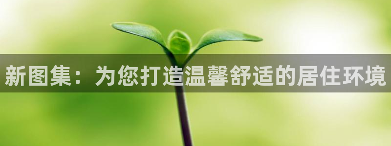 富联娱乐巾六七五一38：新图集：为您打造温馨舒适的居住环境