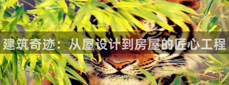 富联娱乐注册码判官333oo：建筑奇迹：从屋设计到房屋的匠心工程