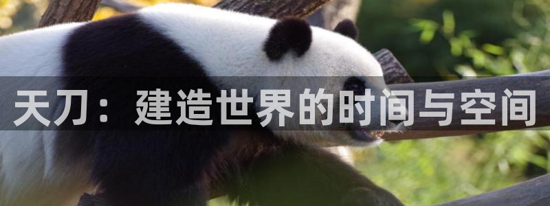 佰富联娱乐团购是正品吗：天刀：建造世界的时间与空间