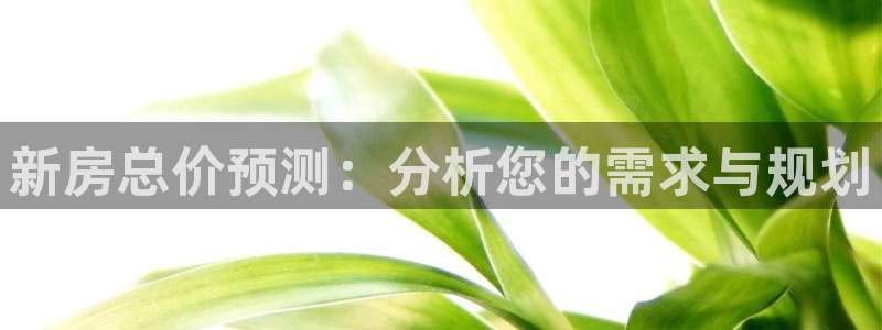 富联娱乐总代理电话：新房总价预测：分析您的需求与规划