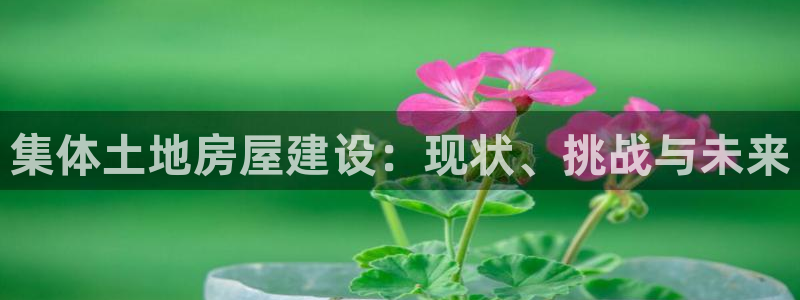 富联娱乐达七九九47：集体土地房屋建设：现状、挑战与未来