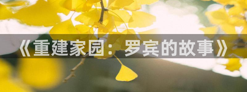 富联娱乐注册登录账号：《重建家园：罗宾的故事》