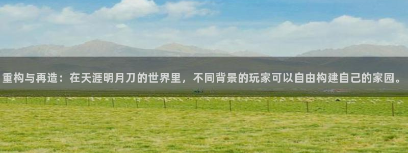 富联娱乐招商主管部门：重构与再造：在天涯明月刀的世界里，不同背景的玩家可以自由构