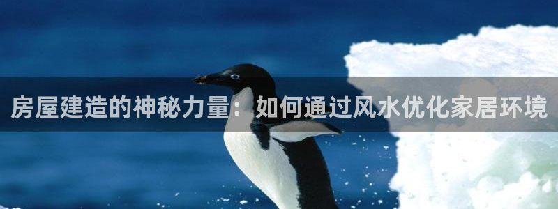 富联娱乐注册食判官333OO：房屋建造的神秘力量：如何通过风水优化家居环境